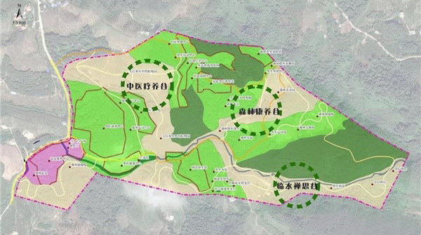 天使净心谷森林康养基地
